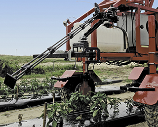 robot harvesting crops