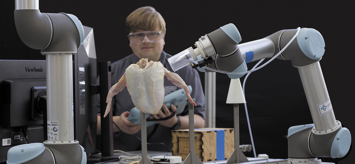 GTRI research engineer Konrad Ahlin operates a collaborative robot arm to automatically load a chicken carcass onto a cone, demonstrating a poultry processing task that could potentially benefit from robotics. (Credit: Steven Thomas)