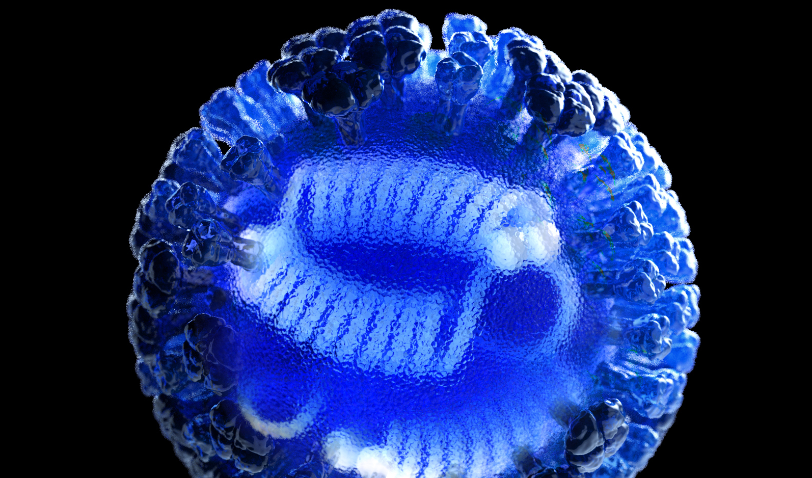 3D computer-generated rendering of an influenza virus
